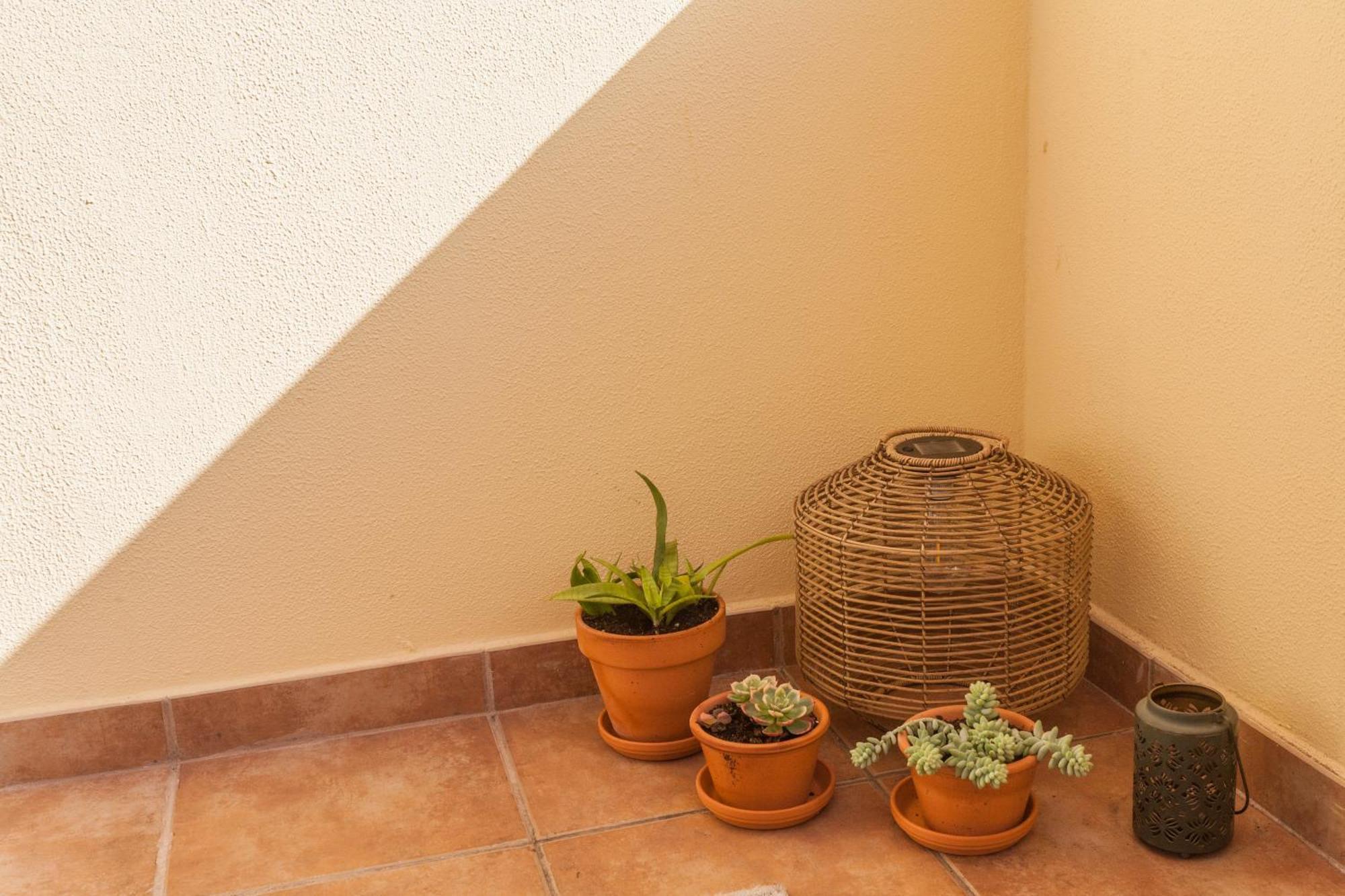 Blue Sky Apartment Funchal  Ngoại thất bức ảnh